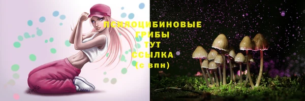 молекула духа Армянск