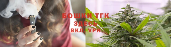 меф Арсеньев