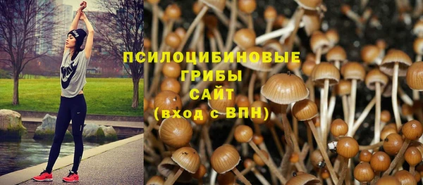 ECSTASY Аркадак