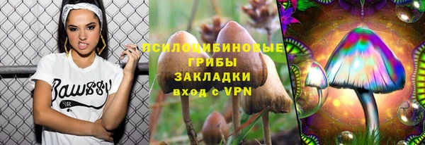 меф Арсеньев