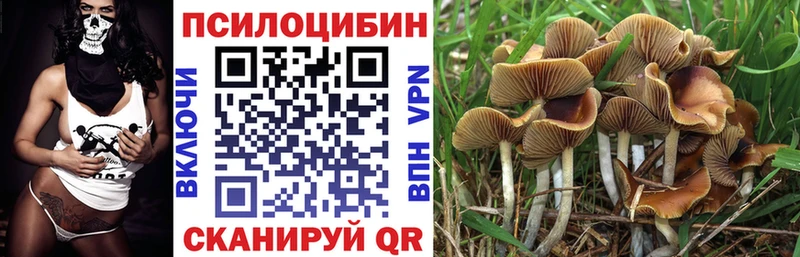 Псилоцибиновые грибы MAGIC MUSHROOMS  Белозерск 